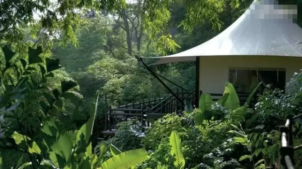 為看星星住帳篷 土豪酒店頑固得讓人看不懂