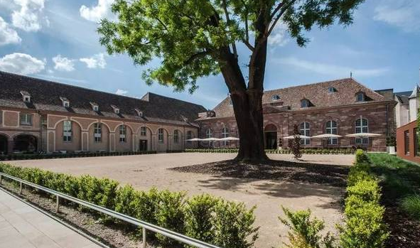 馬主題酒店 Les Haras de Strasbourg hotel視圖